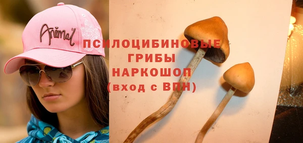 молекула духа Липки