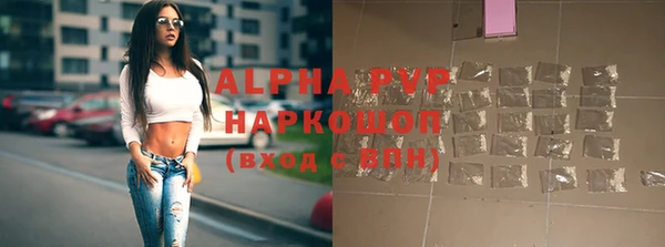 ГАЛЛЮЦИНОГЕННЫЕ ГРИБЫ Магас