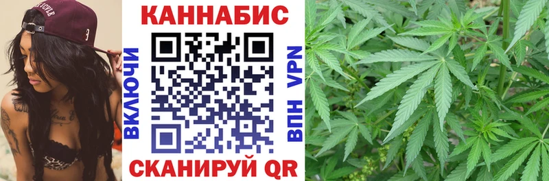 Купить закладки  Ленинск  Канабис сатива 